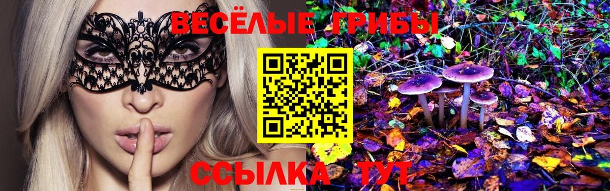 Янаул  Псилоцибиновые грибы Magic Shrooms  где купить наркотик  Вход с VPN 